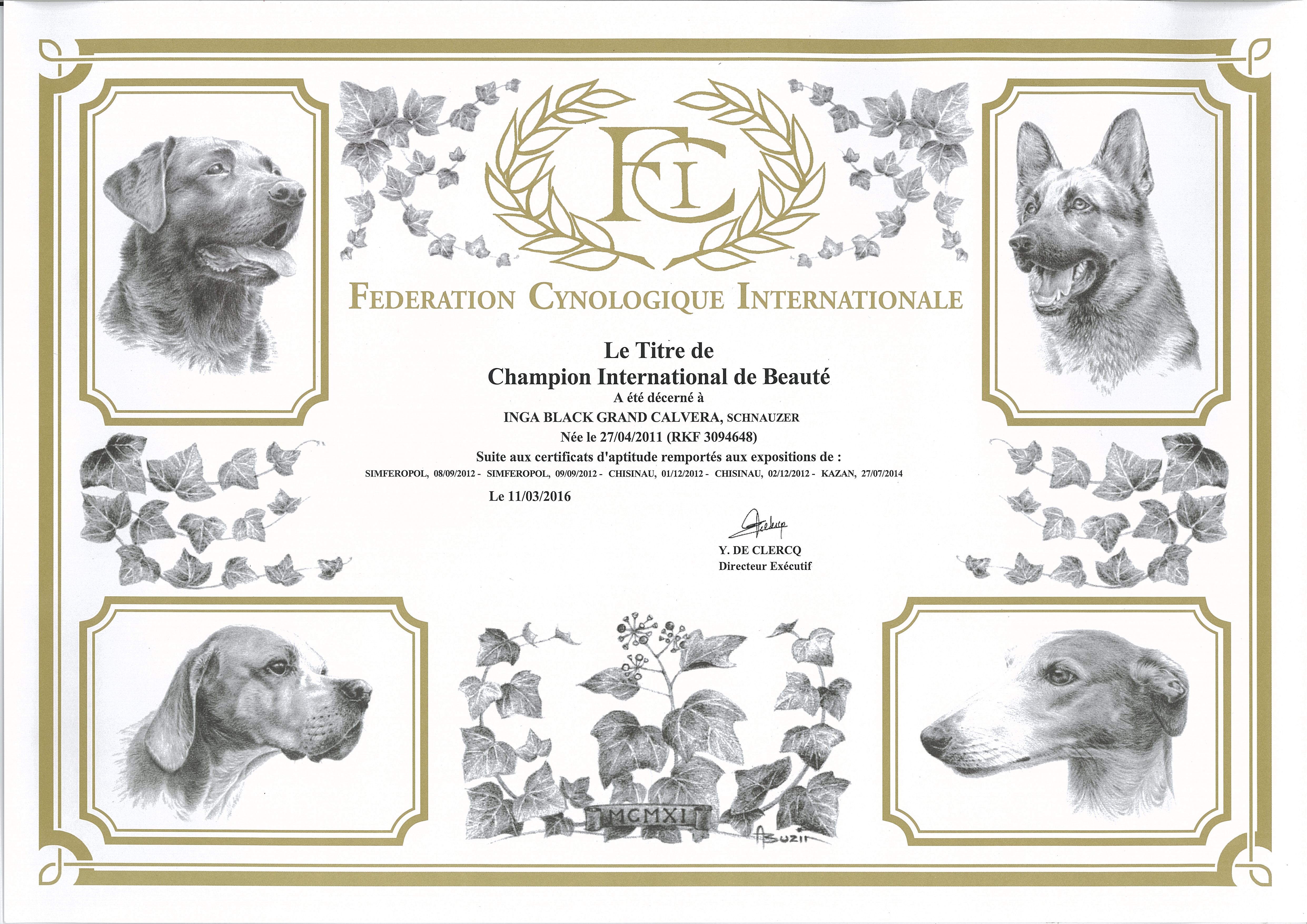 Наш ИНТЕРЧЕМПИОН! Инга Блэк Гранд Кальвера