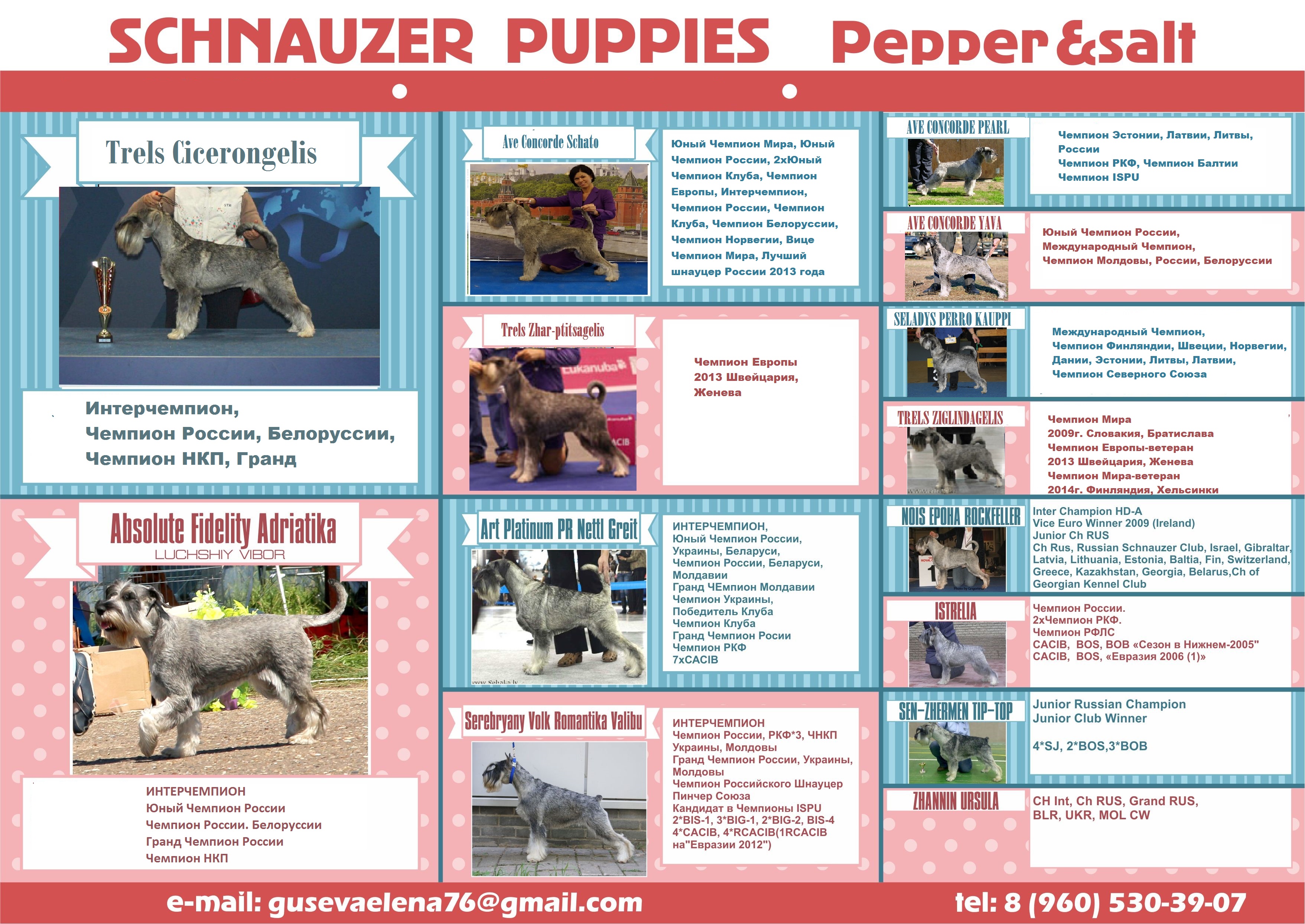 Ждем щенков