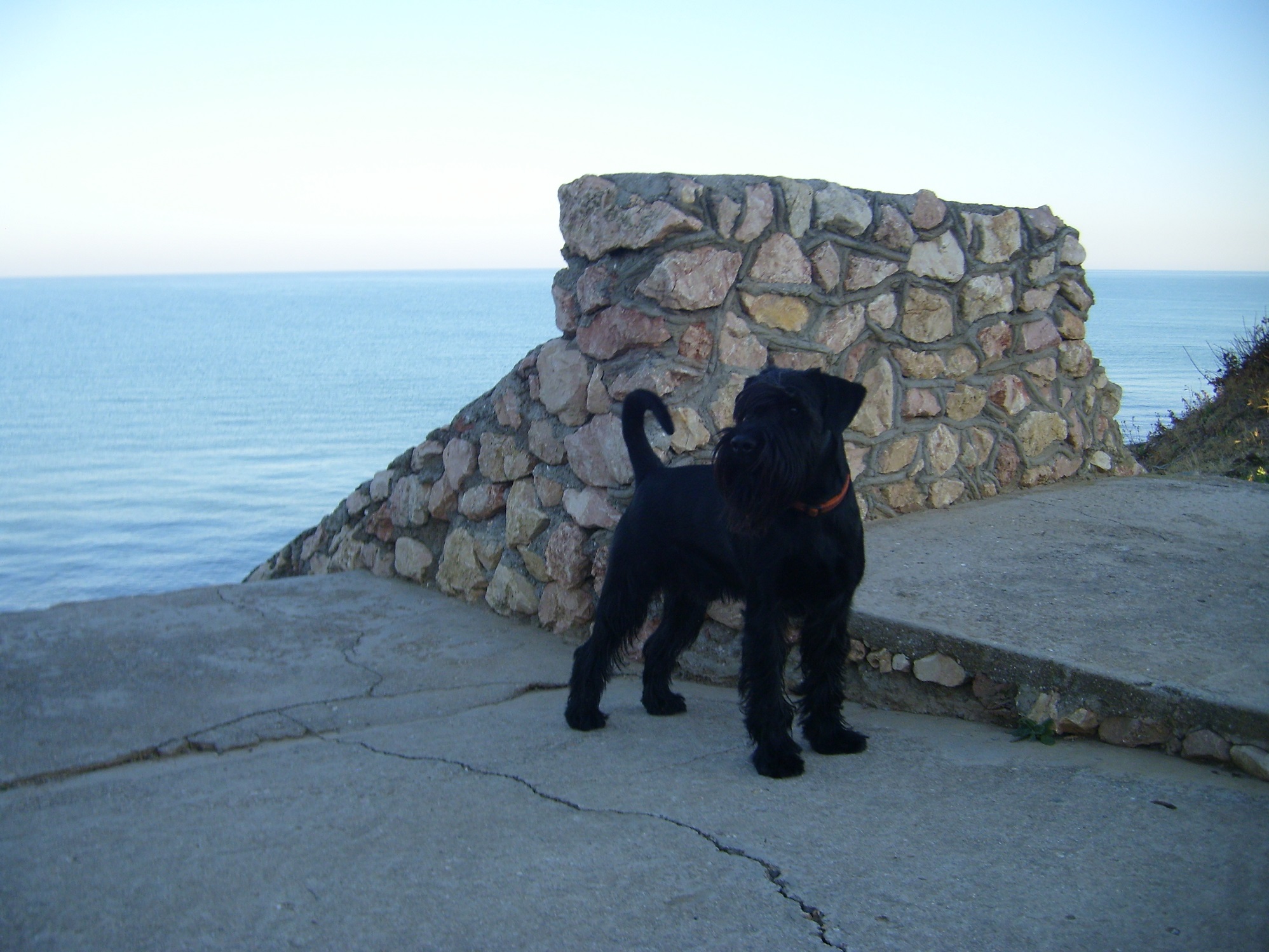 Каникулы Чака в Крыму