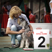 Absolute Fidelity Adriatika Luchshiy Vibor