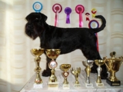 Inga Black Grand Calvera